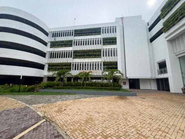 Apartamentos, Alquiler en Cartagena