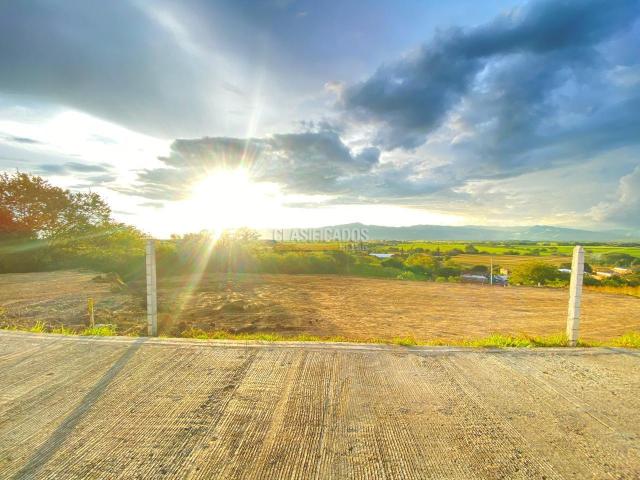 Lotes, Venta en Buga