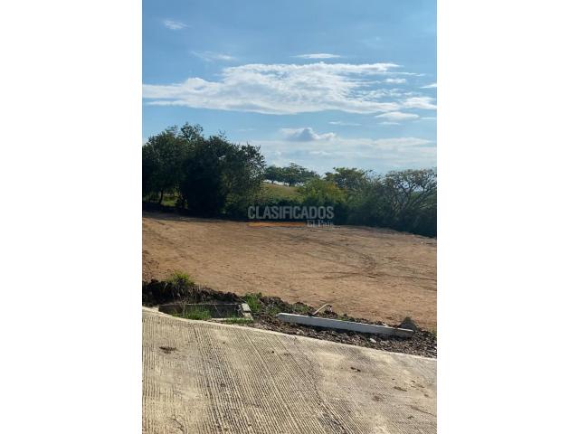 Lotes, Venta en Buga