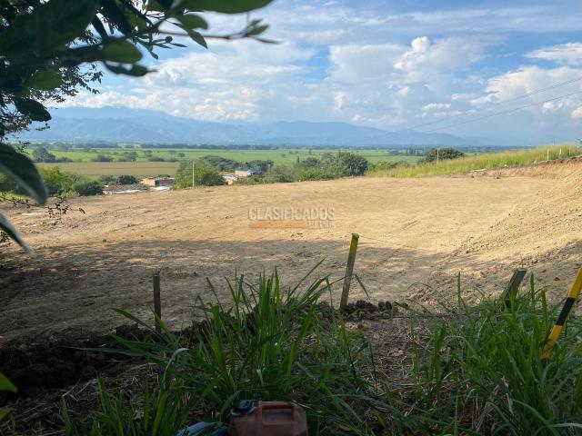 Lotes, Venta en Buga