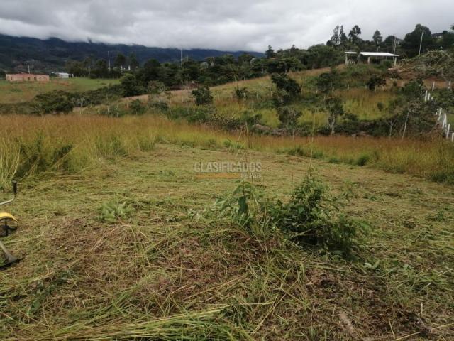 Lotes, Venta en Dagua