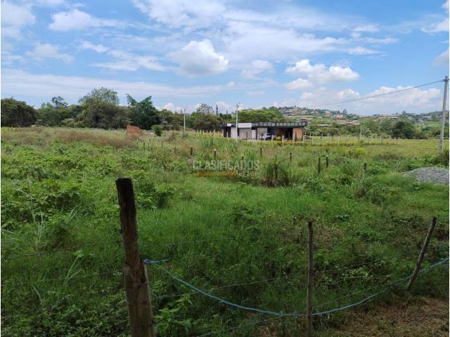 Lotes, Venta en Palmira