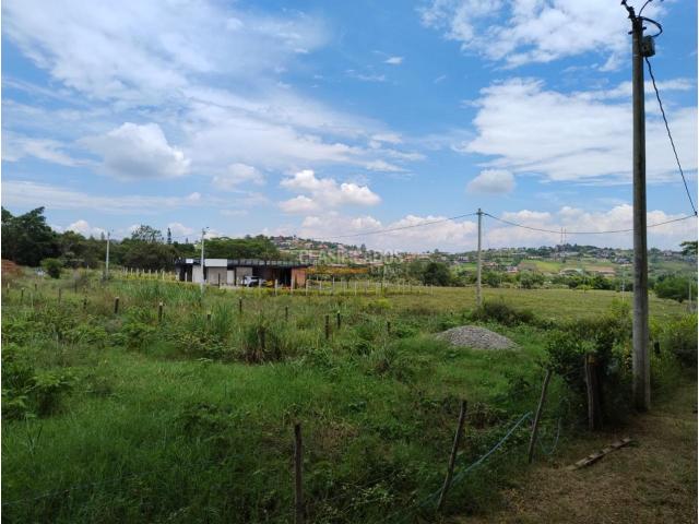 Lotes, Venta en Palmira