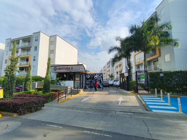 Apartamentos, Alquiler en Ciudad Pacifica