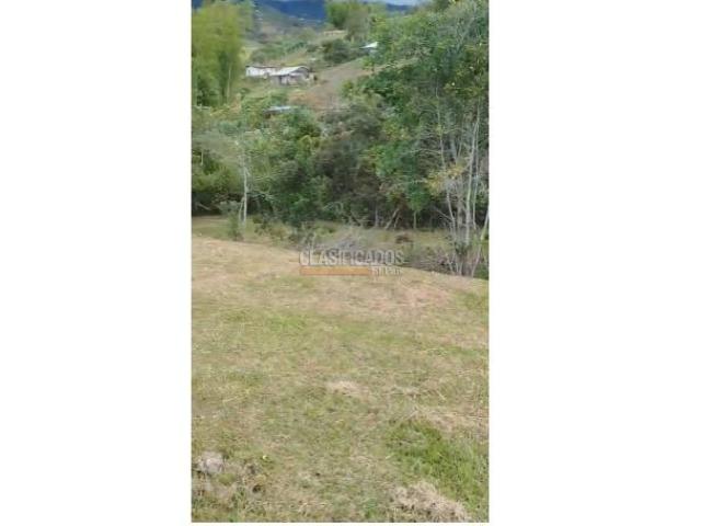 Fincas y Casas Campestres, Venta en Dagua