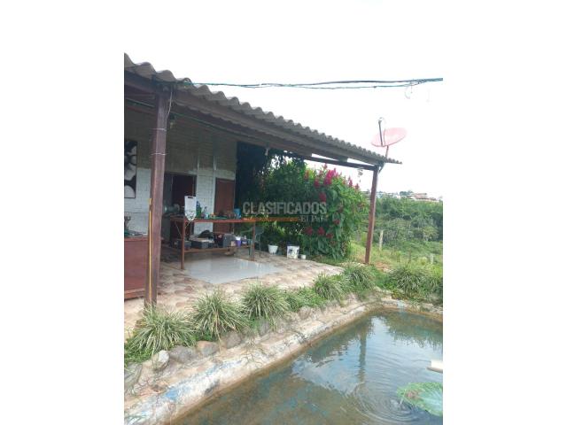 Fincas y Casas Campestres, Venta en La Cumbre