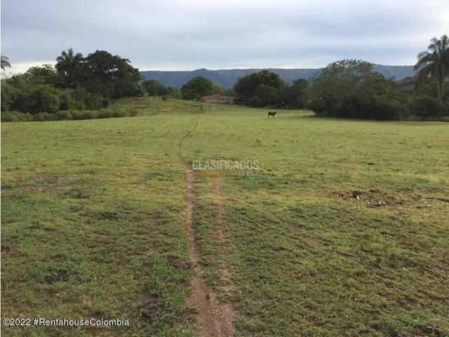Lotes, Venta en Carmen de Apicala