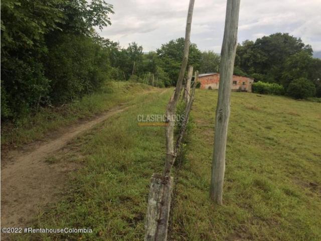 Lotes, Venta en Carmen de Apicala