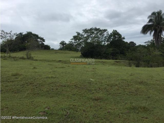 Lotes, Venta en Carmen de Apicala