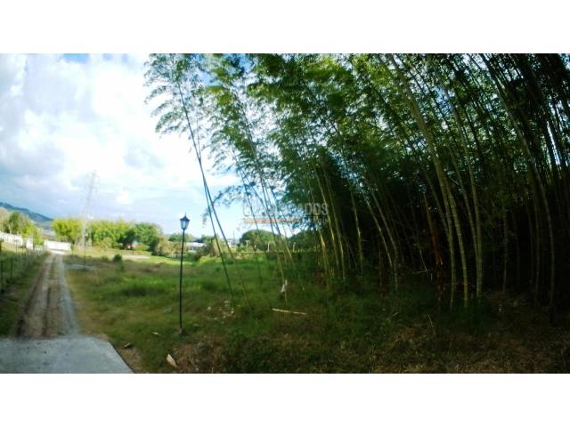 Lotes, Venta en Calima (Darién)