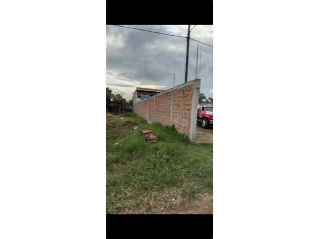 Lotes, Venta en Palmira