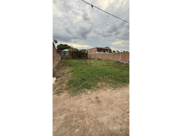 Lotes, Venta en Palmira