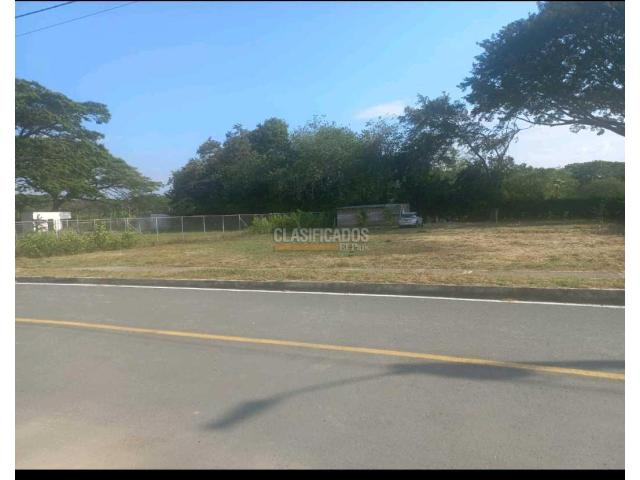 Lotes, Venta en Palmira