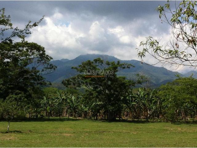 Lotes, Venta en Pance