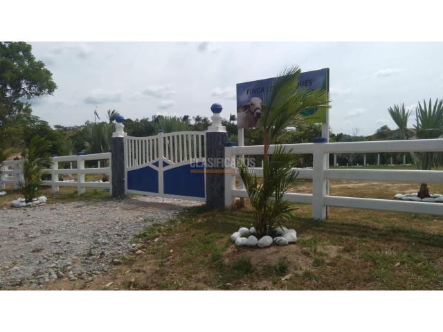 Fincas y Casas Campestres, Venta en Villavicencio