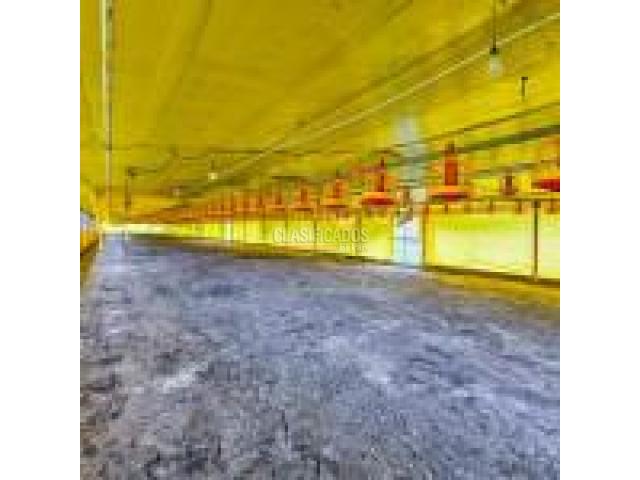 Fincas y Casas Campestres, Venta en Santander de Quilichao