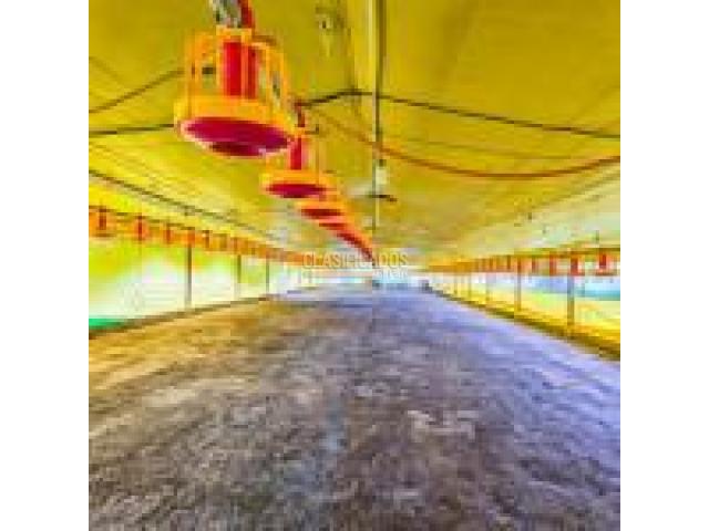 Fincas y Casas Campestres, Venta en Santander de Quilichao