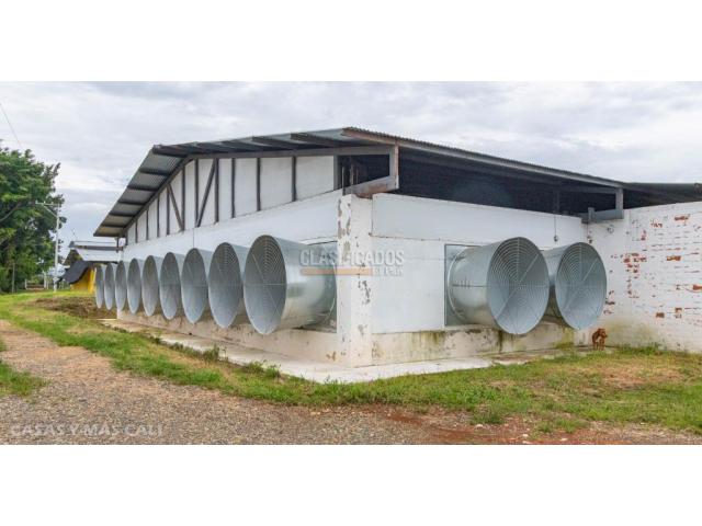 Fincas y Casas Campestres, Venta en Santander de Quilichao