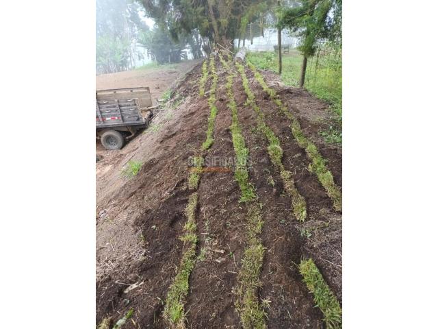 Lotes, Venta en Calima (Darién)