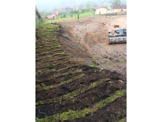 Lotes, Venta en Calima (Darién)