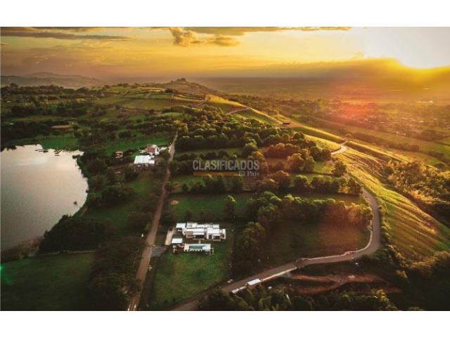 Lotes, Venta en Palmira