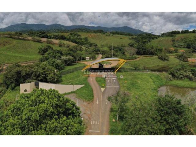 Lotes, Venta en Palmira