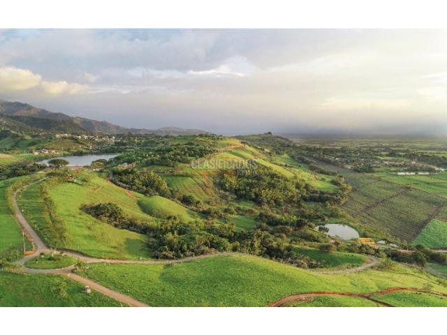 Lotes, Venta en Palmira