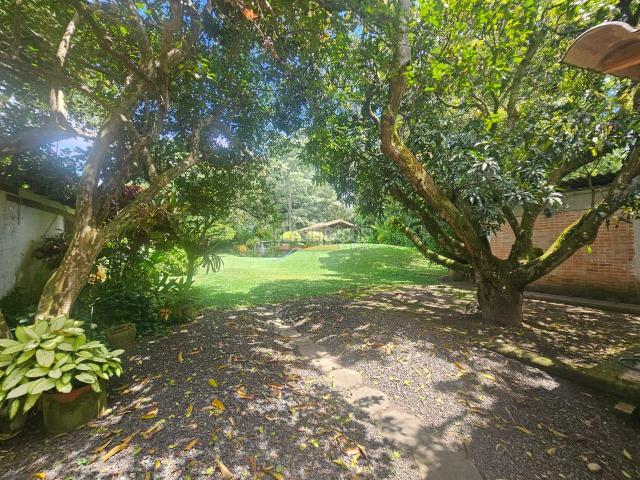 Lotes, Venta en Pance