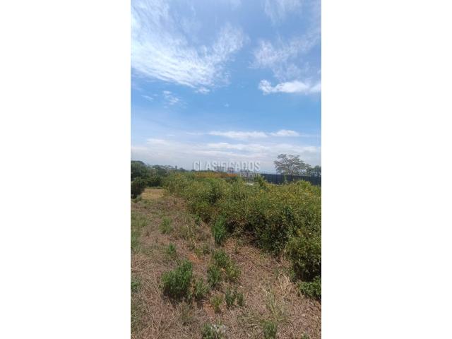 Lotes, Venta en Ciudad Jardín