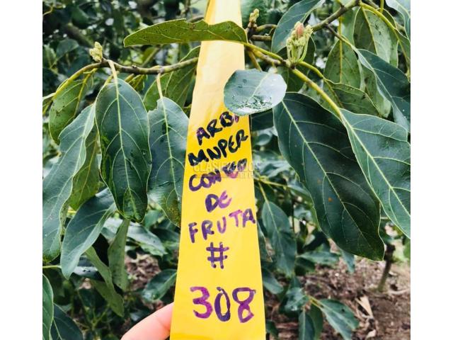 Fincas y Casas Campestres, Venta en Calima (Darién)