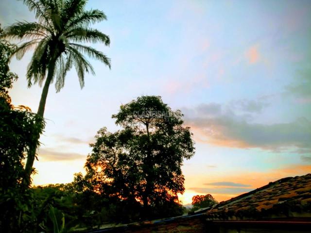 Casas, Venta en La Buitrera