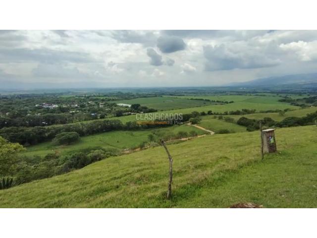 Lotes, Venta en Palmira