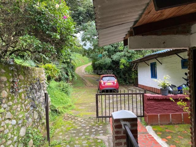 Casas, Alquiler en La Buitrera