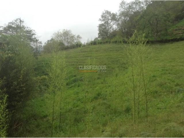 Lotes, Venta en Dagua