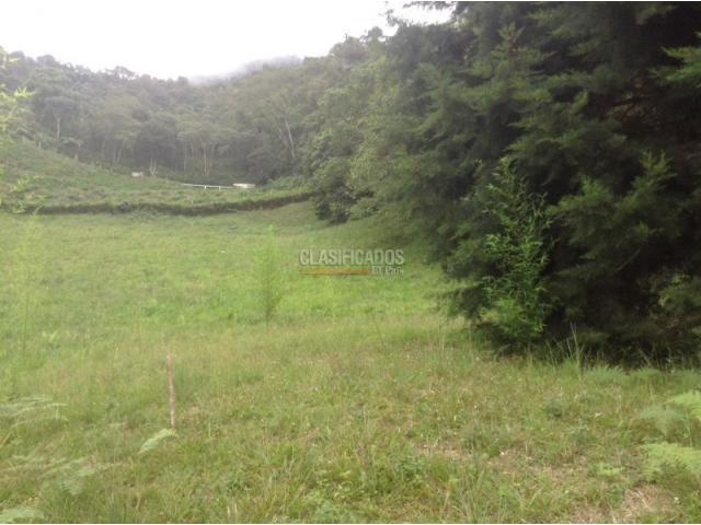 Lotes, Venta en Dagua