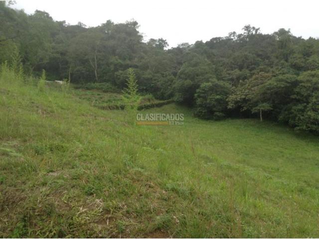 Lotes, Venta en Dagua