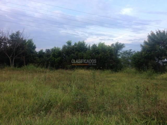 Lotes, Venta en Pance