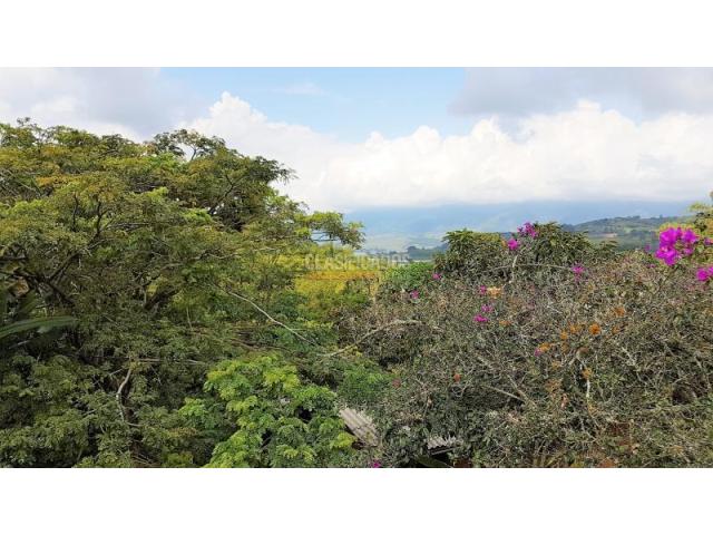 Lotes, Venta en Calima (Darién)