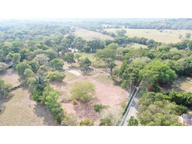 Casas, Venta en Carmen de Apicala