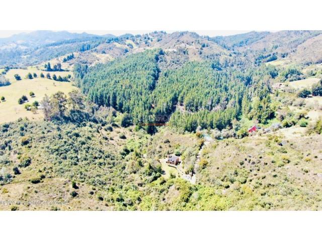 Lotes, Venta en La Calera