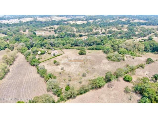 Lotes, Venta en Carmen de Apicala