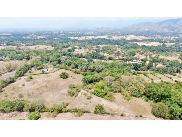 Lotes, Venta en Carmen de Apicala