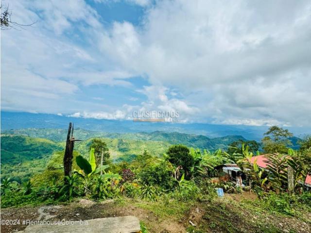 Lotes, Venta en Quipile