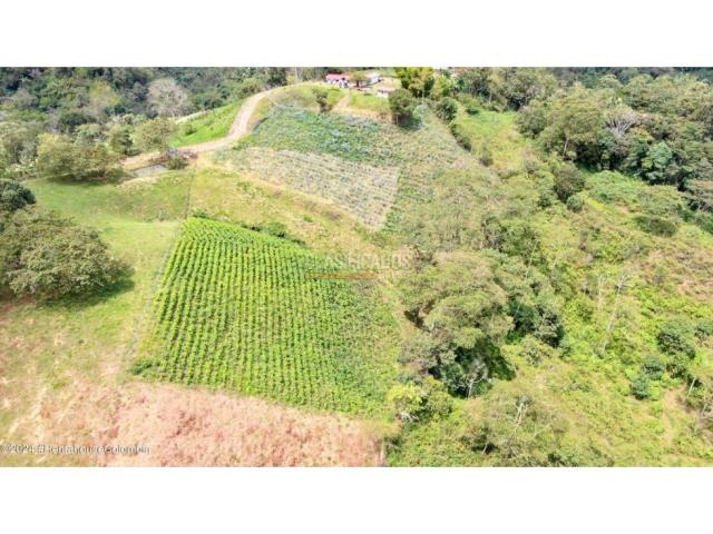 Lotes, Venta en Quipile