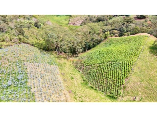 Lotes, Venta en Quipile