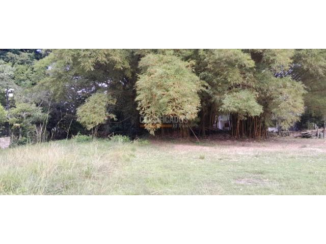 Lotes, Venta en Pance