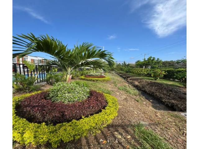 Casas, Venta en Ciudad Pacifica