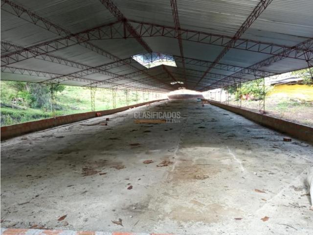 Fincas y Casas Campestres, Venta en Guacarí