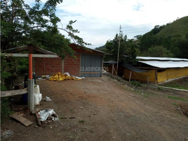 Fincas y Casas Campestres, Venta en Guacarí