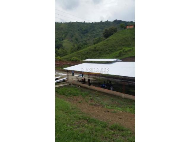 Fincas y Casas Campestres, Venta en Guacarí